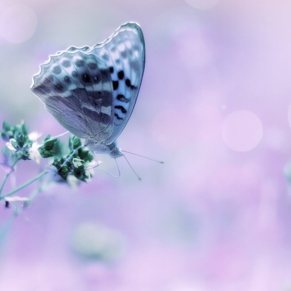 Lesson 15 – My thoughts are images that I have made