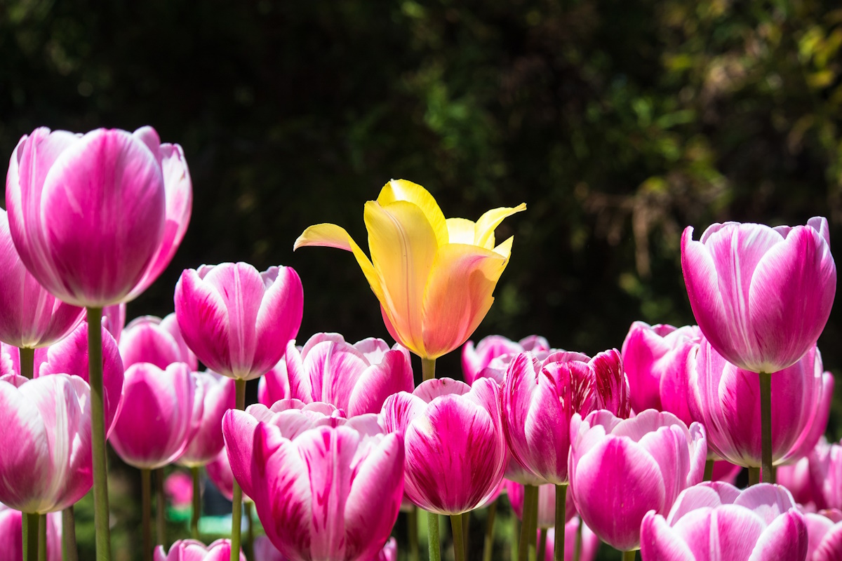 Create change by being different
